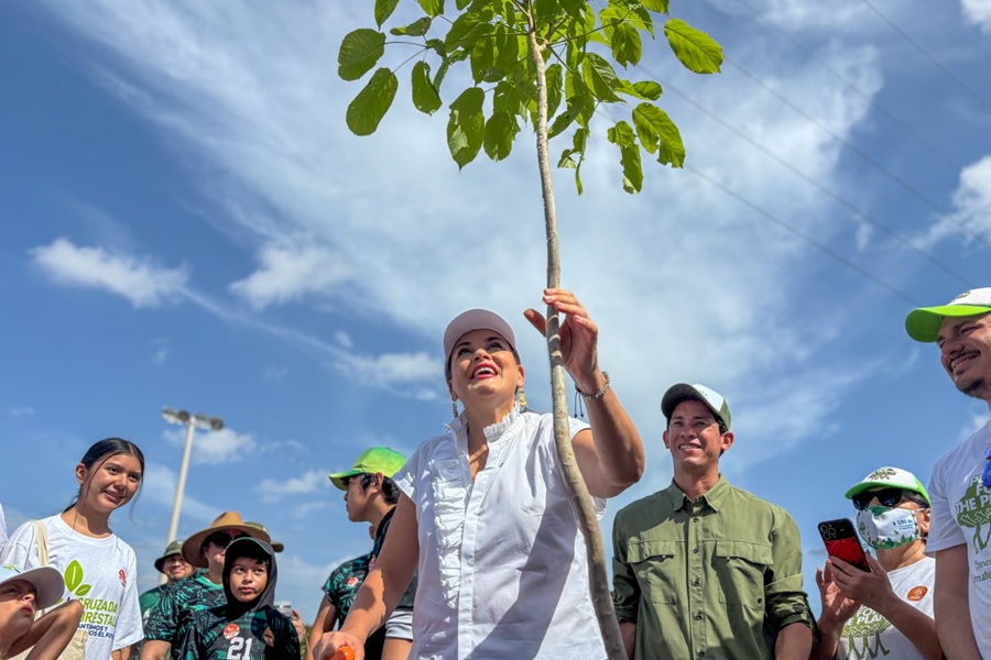 Sembramos vida en comunidad, con la Cruzada Forestal: Cecilia Patrón