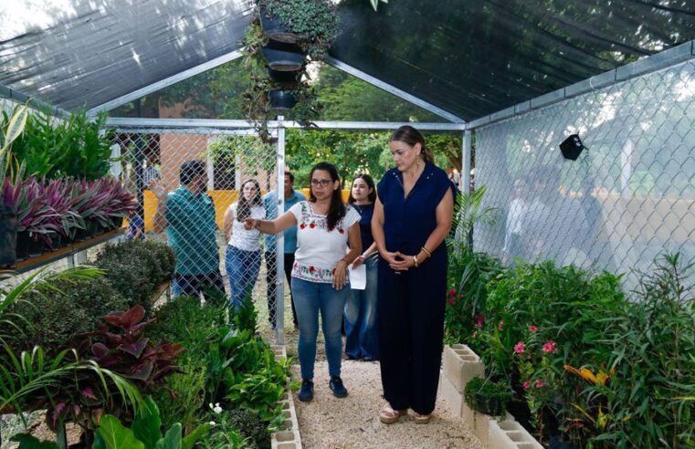 La Reserva Cuxtal promoverá la cultura ambiental en la Hacienda Anicabil