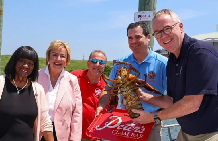 Langosta de 110 años fue liberada en vez de terminar en la olla