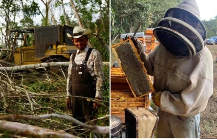 Los menonitas son un grave problema ambiental en Yucatán, asegura la Semarnat