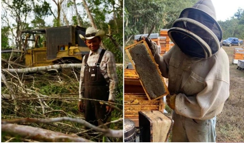 Los menonitas son un grave problema ambiental en Yucatán, asegura la Semarnat