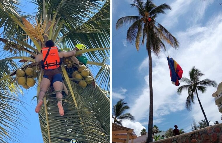 Turista queda atorado en una palmera tras practicar paracaidismo de playa