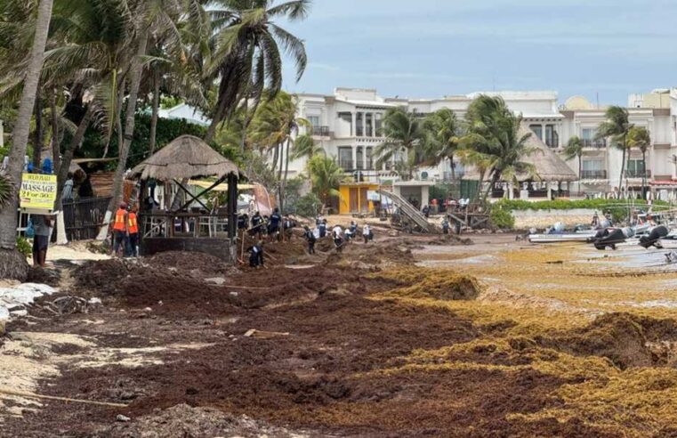 Turistas cancelan o recortan estancias en la Riviera Maya por el sargazo
