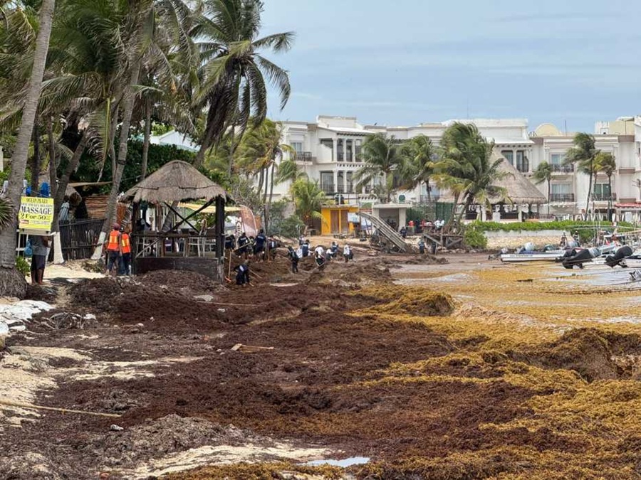 Turistas cancelan o recortan estancias en la Riviera Maya por el sargazo