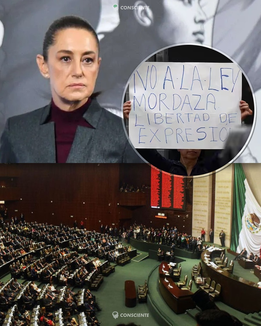 El Senado aprueba la ‘ley censura’