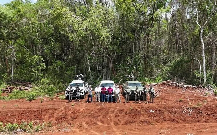 Profepa clausura zonas donde menonitas quieren extenderse en la Península de Yucatán