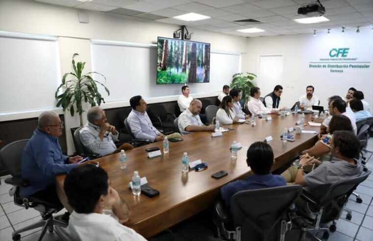 Gobierno de Yucatán y CFE inician mesas de trabajo en materia energética