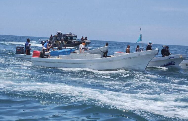 Tres detendios en operativo contra pesca ilegal en costas yucatecas