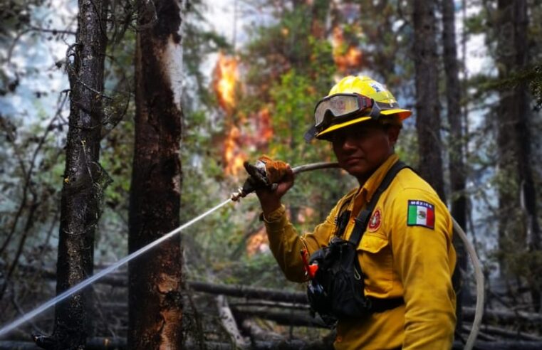 Yucateco se une al combate de incendios forestales en Canadá 