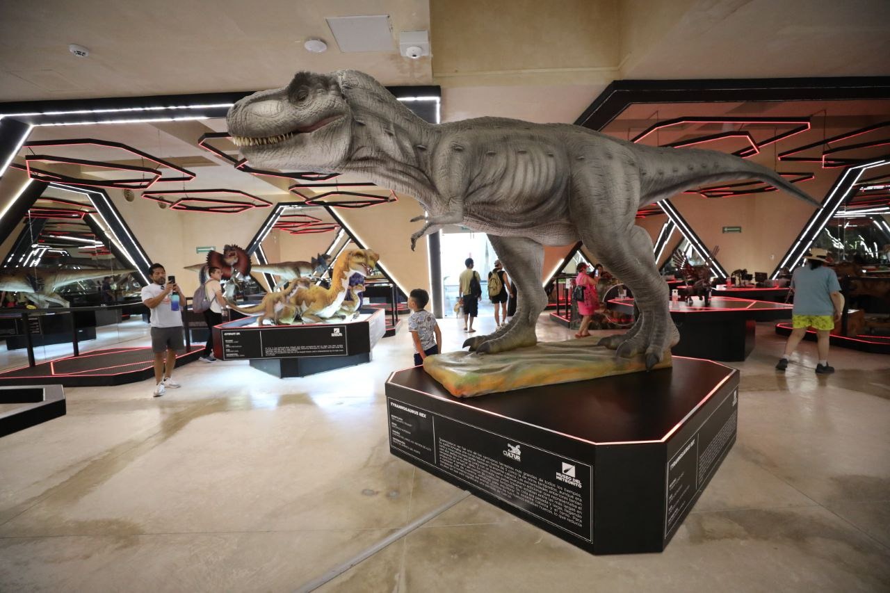 Museo del Meteorito celebra tercer aniversario con actividades para toda la familia