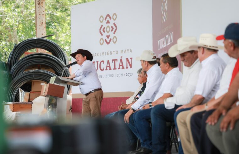 Renace campo yucateco con apoyos históricos a productores