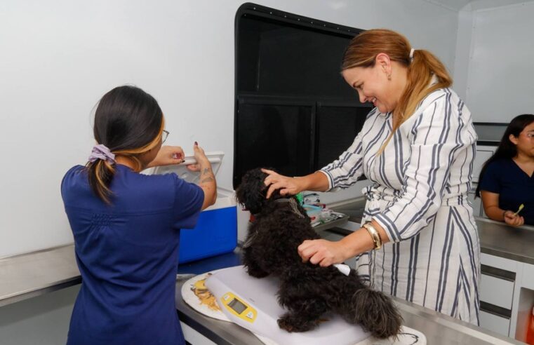 Cecilia Patrón impulsa el bienestar animal con Mega Jornada de Esterilización en Mérida
