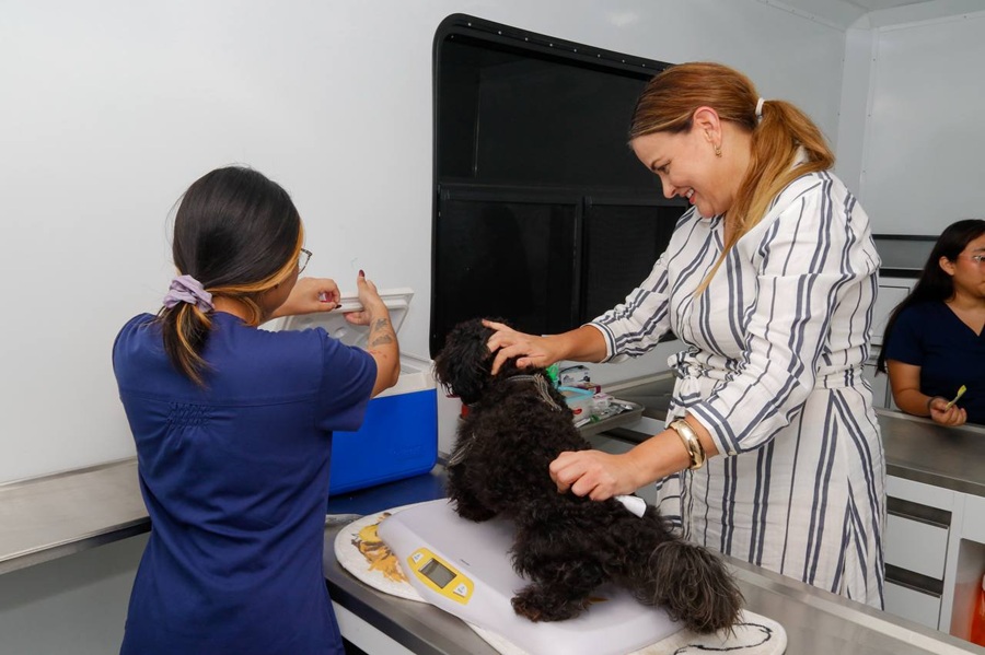 Cecilia Patrón impulsa el bienestar animal con Mega Jornada de Esterilización en Mérida