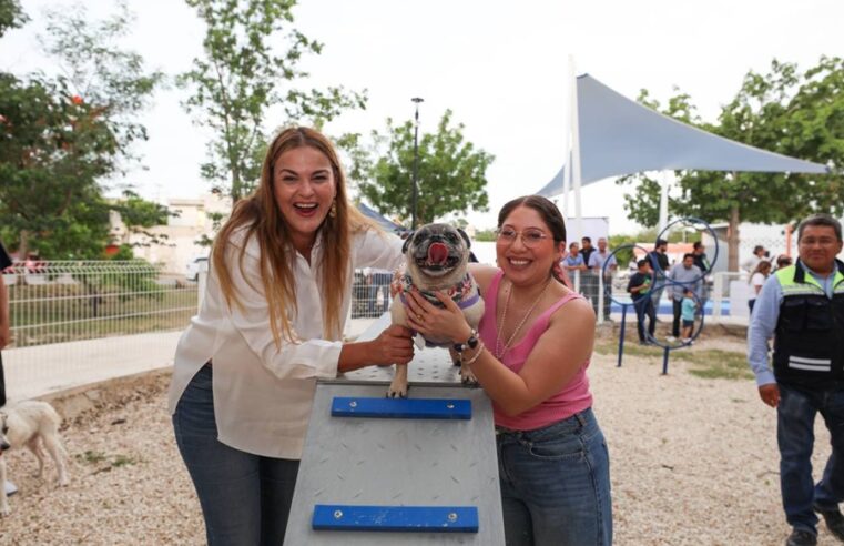 Con participación ciudadana, mejoramos las colonias meridanas: Cecilia Patrón