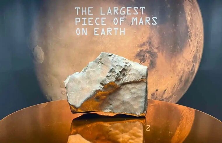 Venden por 5.3 millones de dólares el meteorito más grande de Marte hallado en la Tierra