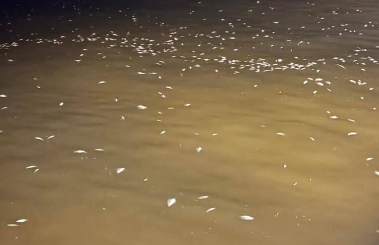 Cierran playas de Chuburna por la Marea Roja