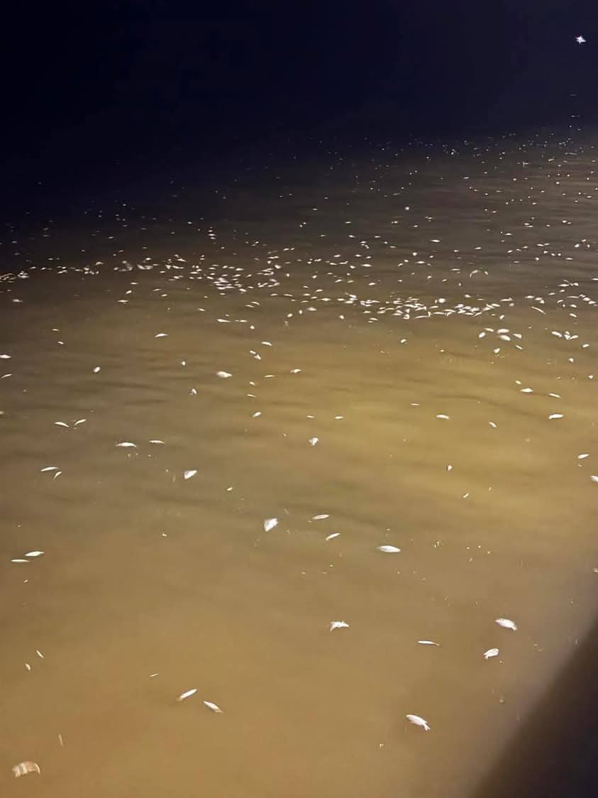 Cierran playas de Chuburna por la Marea Roja