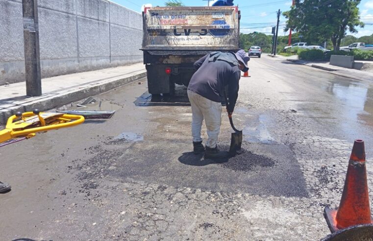 Rápida intervención de bacheo del Ayuntamiento de Mérida en la Nueva Sambulá 