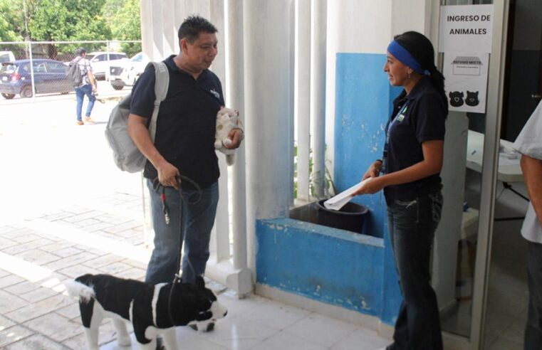 Ayuntamiento de Mérida refuerza la protección animal para la temporada de huracanes 2025