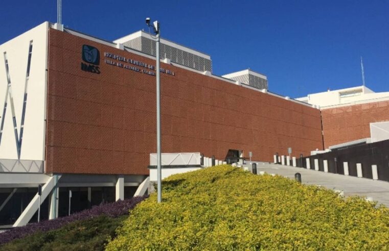 Muere un hombre por rabia en Colima: es el segundo este año en México