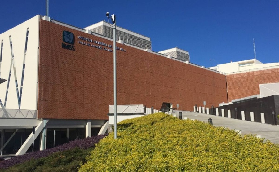 Muere un hombre por rabia en Colima: es el segundo este año en México