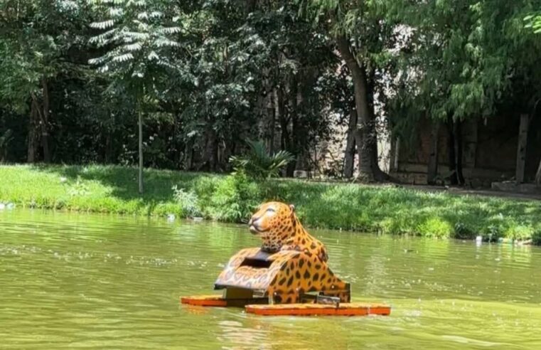 Estudiantes chiapanecos crean robot recolector de basura y que usa energía solar