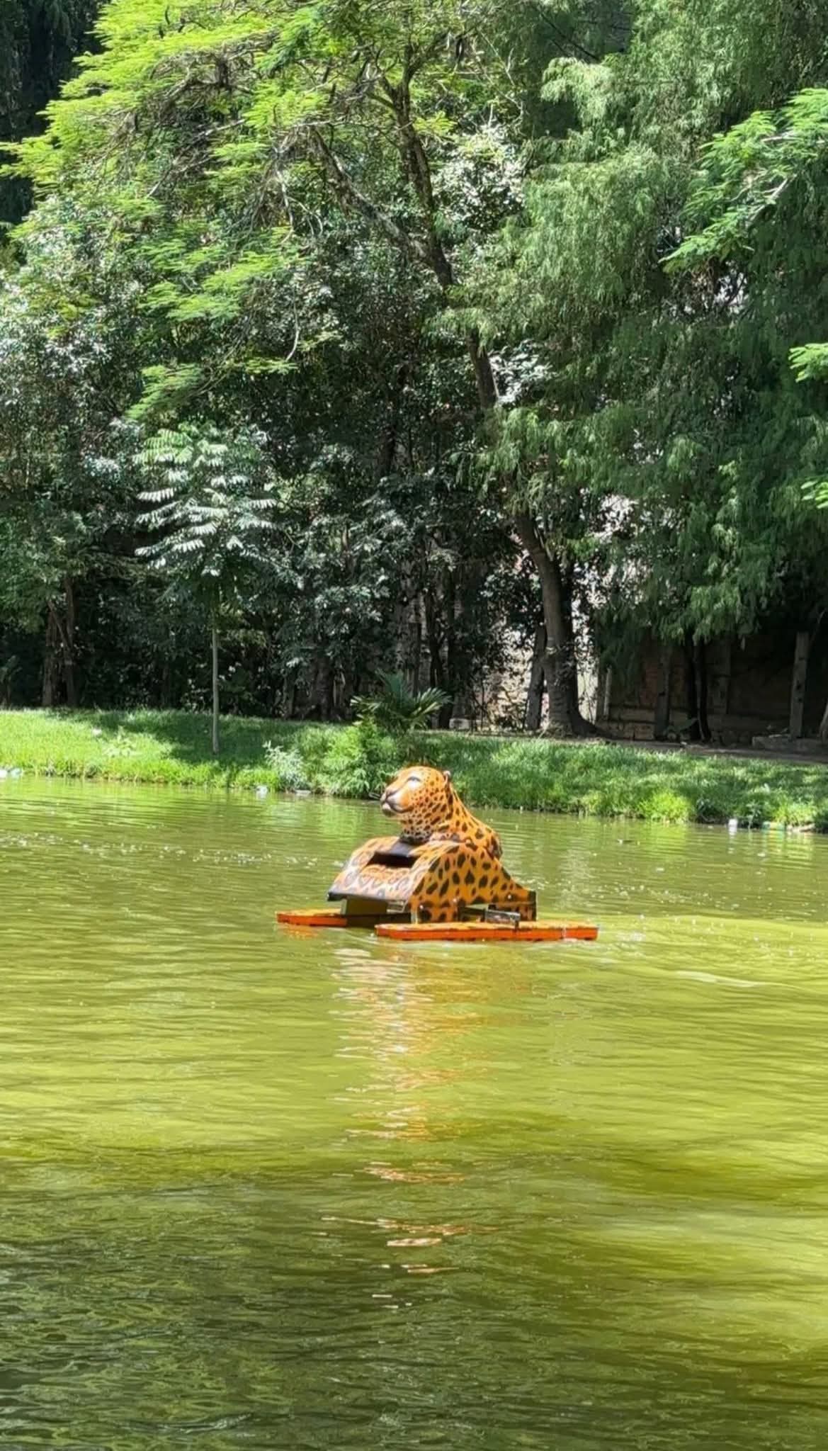 Estudiantes chiapanecos crean robot recolector de basura y que usa energía solar