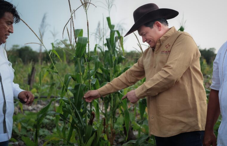 Díaz Mena supervisa construcción de más caminos sacacosechas