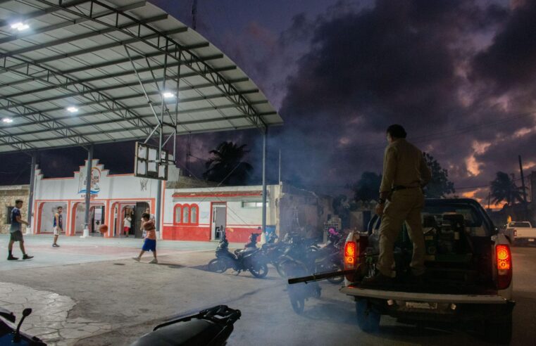 Refuerzan medidas contra el «mosquito de la ciénega» que ataca en Mérida