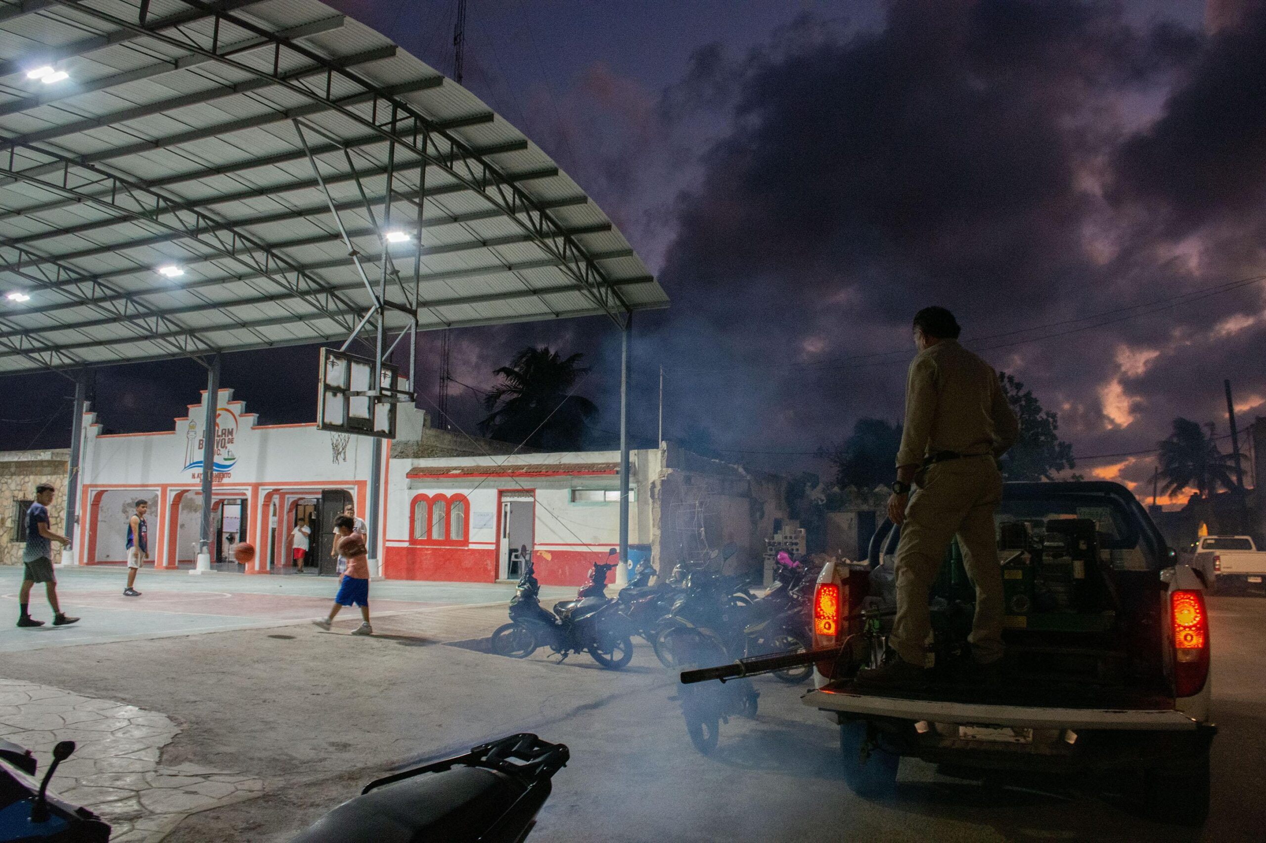 Refuerzan medidas contra el «mosquito de la ciénega» que ataca en Mérida