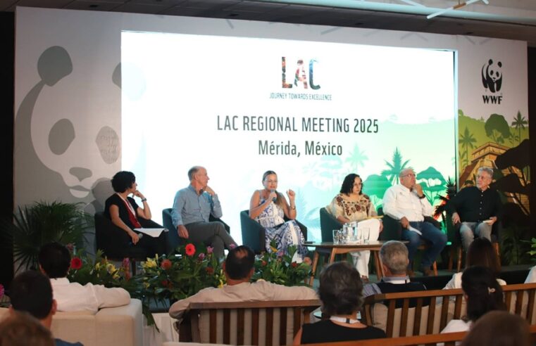 En Mérida impulsamos la participación ciudadana para cuidar el medio ambiente: Cecilia Patrón