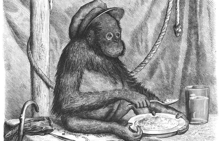 El día que Francia juzgó a un orangután por asesinato