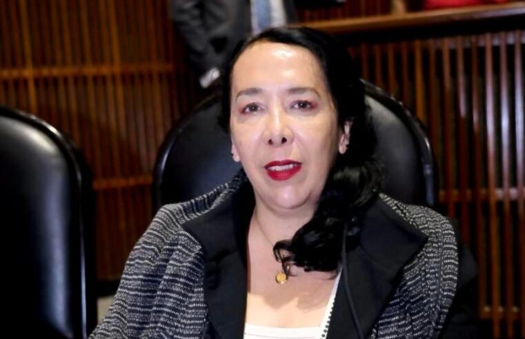 Estados Unidos vincula a diputada de Morena con Los Mayos: le bloquean sus cuentas