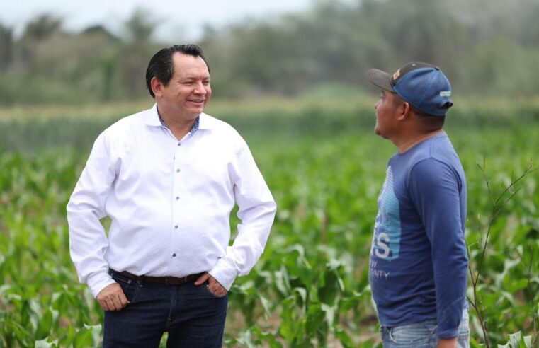 Impulsan el campo yucateco con mecanización de tierras