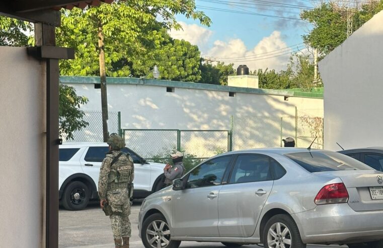 Cateo en predio del norte de Mérida