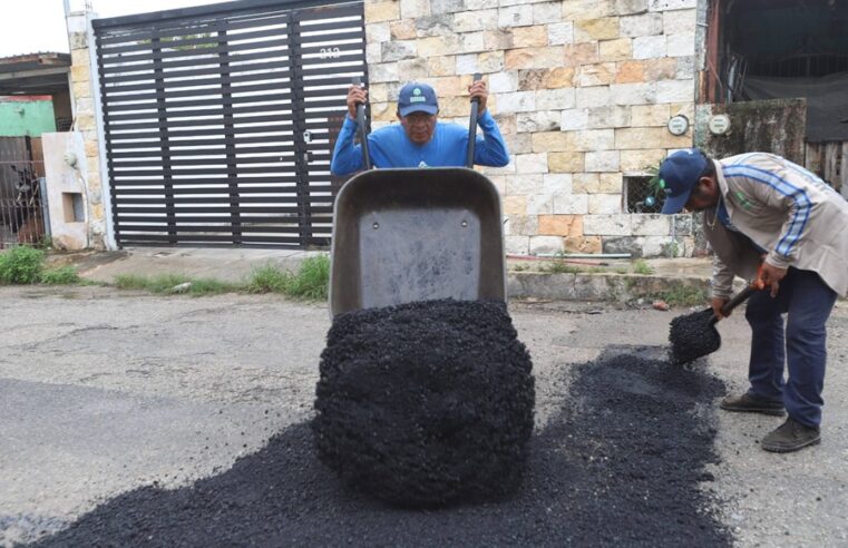 Fructifica plan de Cecilia Patrón: el Ayuntamiento recibe al día 74 reportes menos de baches