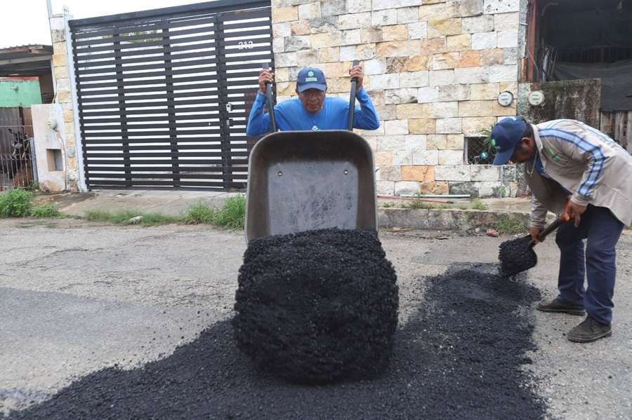 Fructifica plan de Cecilia Patrón: el Ayuntamiento recibe al día 74 reportes menos de baches
