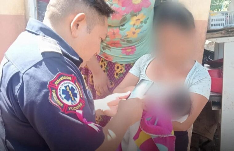 Milagro de octubre: recién nacida abandonada por su madre sobrevive 12 horas en una cubeta