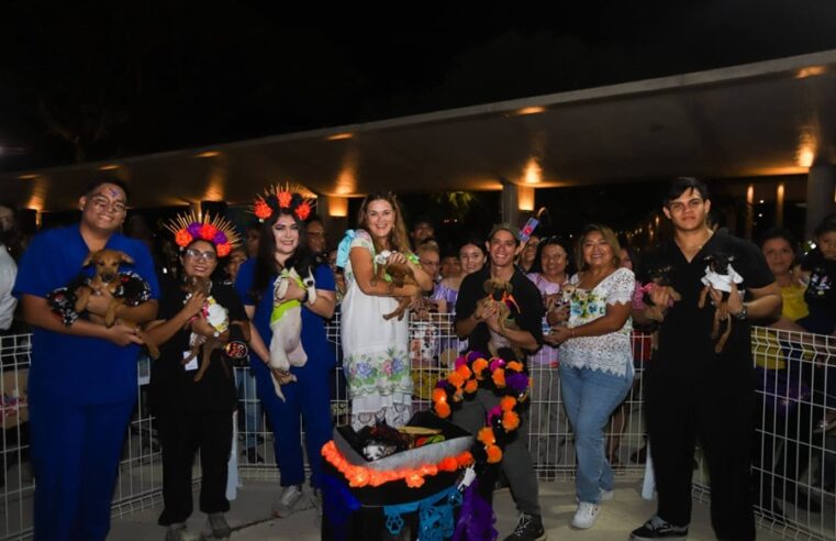Cecilia Patrón celebra el amor y la memoria de los animales de compañía en el Pixán Peek 2025