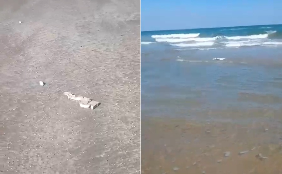 Hallan basura espacial y delfines muertos en playa Bagdad, Tamaulipas