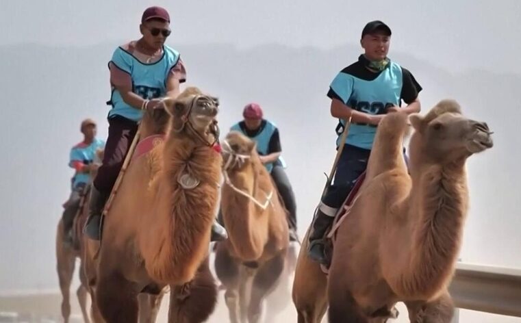 Chinos cambian bicicletas por camellos para salir de paseo en familia