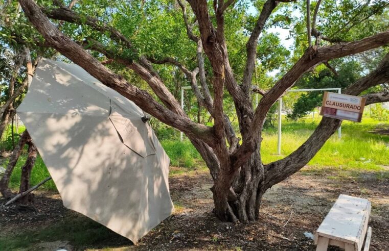 Clausuran tres predios en la Reserva de la Biosfera Ría Celestún