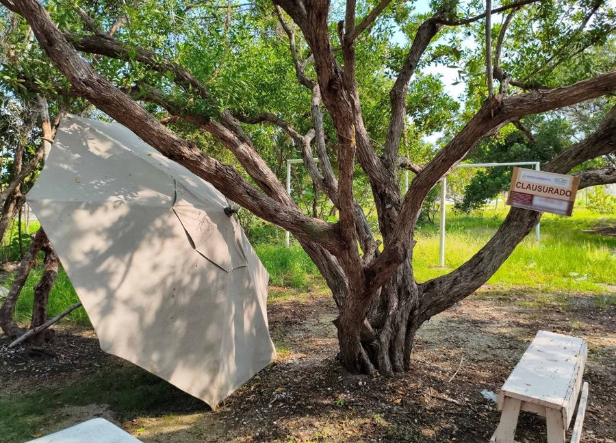 Clausuran tres predios en la Reserva de la Biosfera Ría Celestún