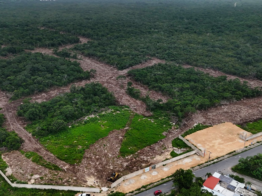 Por cambio de uso de suelo, la Profepa clausura el proyecto inmobiliario Savia Residencial