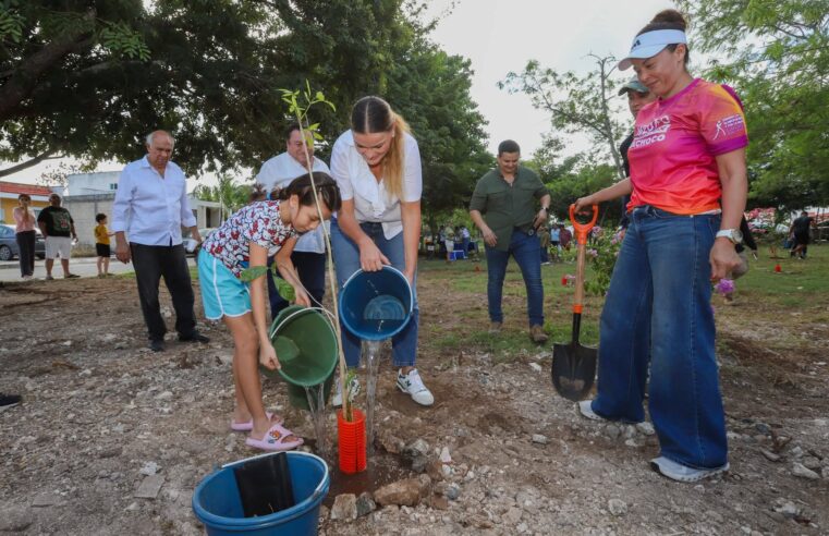 Avanza Cecilia Patrón con la reforestación de zonas urbanas meridanas.