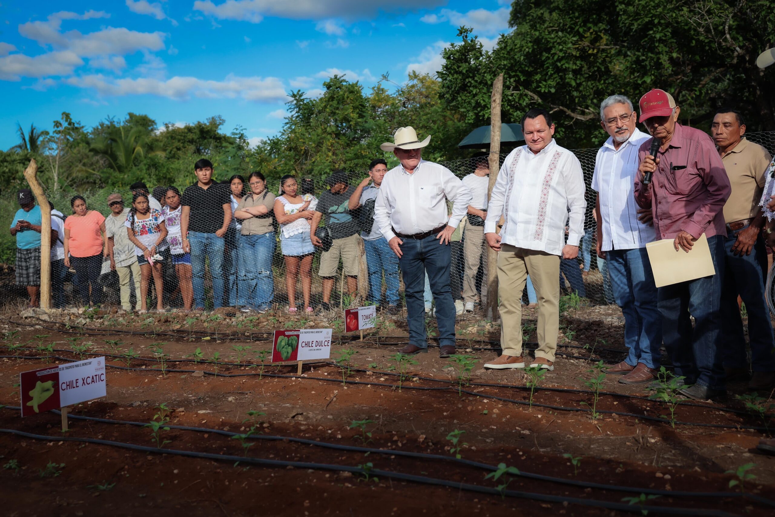 Renacimiento Maya impulsa producción agrícola en Yucatán 