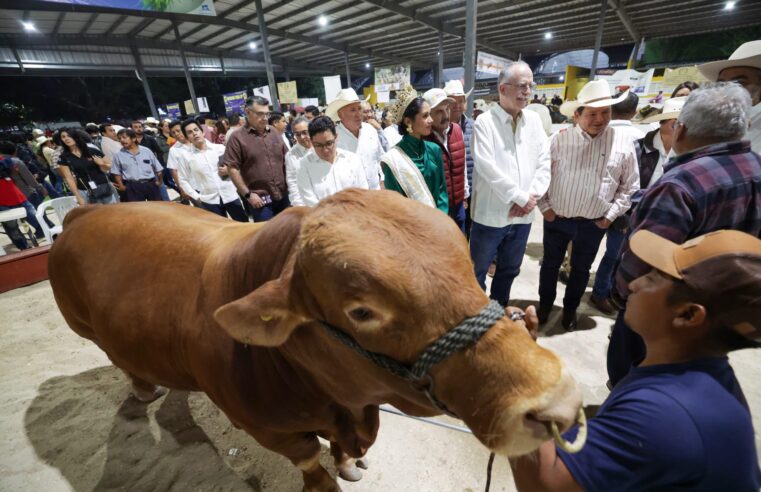 Renacimiento Maya y el Gobierno de México unen esfuerzos para fortalecer sector ganadero de Yucatán