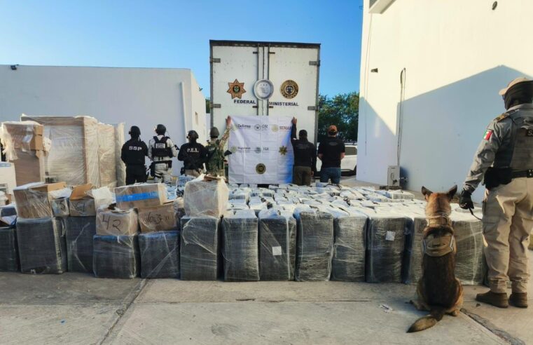 Aseguran droga con valor de $69 millones en un retén de la carretera Mérida-Campeche