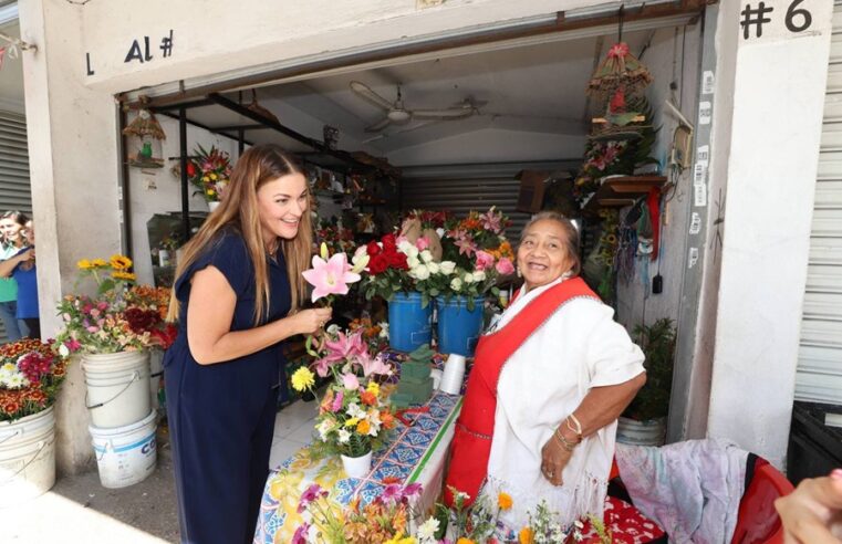 Cada vez hay más espacios públicos con Internet gratuito en Mérida: Cecilia Patrón