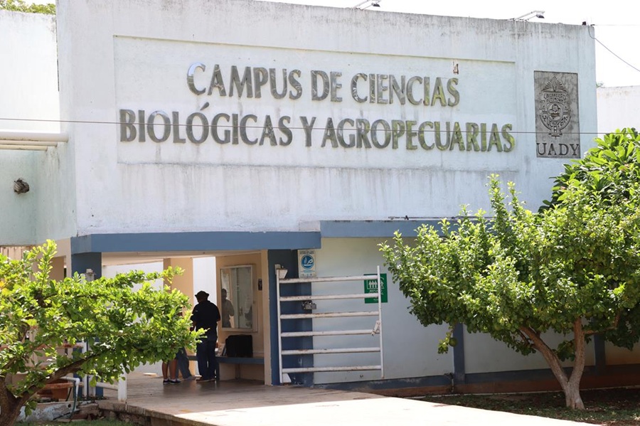 Alumnos de Veterinaria de la Uady denuncian malas condiciones del campus y falta de vacunas